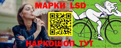гашик Сланцы