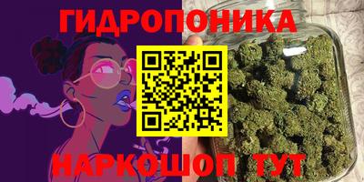 гашик Сланцы