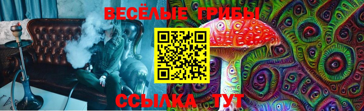 Ногинск  продажа наркотиков  Вход с VPN  Галлюциногенные грибы Cubensis 